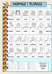 English Worksheet: ANIMAL PLURALS