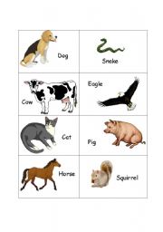 English Worksheet: Animals