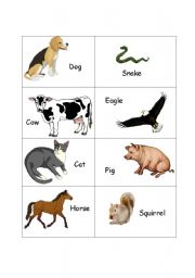 English worksheet: Animals