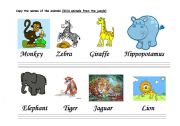 English Worksheet: THE CALLIGRAPHY OF THE ANIMALS (MAMMALS -C-)