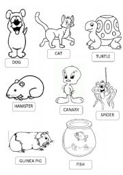 English Worksheet: PETS PICTIONARY