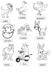 English Worksheet: FARM ANIMALS SET 1