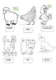 English Worksheet: FARM ANIMALS  2