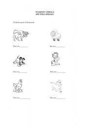 English worksheet: domestic and wild animals 