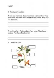 English Worksheet: SCIENCE EXAM
