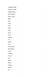 English worksheet: The list of words concerning the topic 