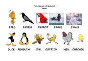 English worksheet: THE ANIMALS (OVIPAROUS)