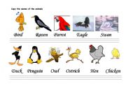 English worksheet: THE CALLIGRAPHY OF THE ANIMALS (OVIPAROUS)