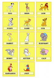 English Worksheet: Animal babies