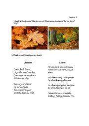 English Worksheet: autumn