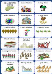 English Worksheet: Collective nouns 1 of 2