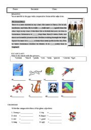 English worksheet: activity worksheet
