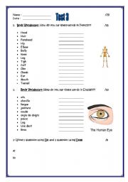 English worksheet: body vocabulary test