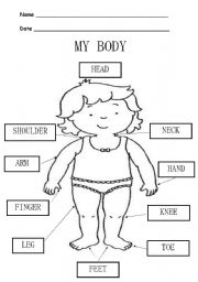 English Worksheet: MY BODY