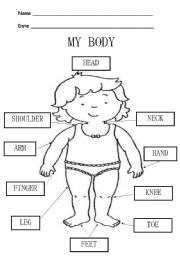 MY BODY