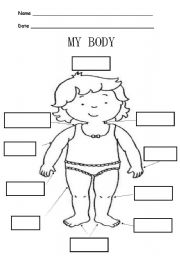 English Worksheet: PARTS OF MY BODY 