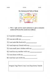 English worksheet: My Senses and Parts of Body