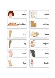 English Worksheet: body parts