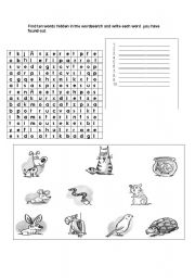 English Worksheet: pets puzzle
