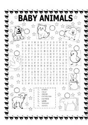 English Worksheet: WORD SEARCH (BABY ANIMALS) AND NUMBER THE PICTURES