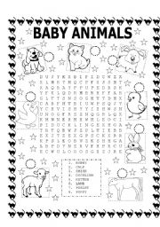 WORD SEARCH (BABY ANIMALS) AND NUMBER THE PICTURES