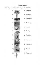 English worksheet: animals