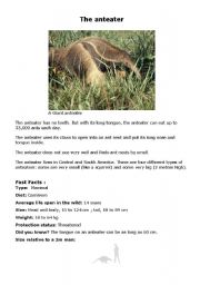 English Worksheet: Amazing animals reading - The anteater