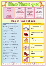 English Worksheet: has got have got