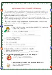 English Worksheet: A Spanish Student at Sussex University