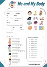 English Worksheet: Me and My Body