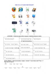 English Worksheet: computer expert