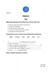 English Worksheet: science worksheet