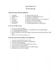 English worksheet: Lexical-Grammar Test