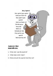 English worksheet: Grey Squirrel