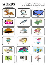 English worksheet: WORDS (Vocabulary)