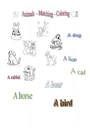 English worksheet: Animals