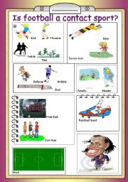 English Worksheet: Is Football a Contact Sport?
