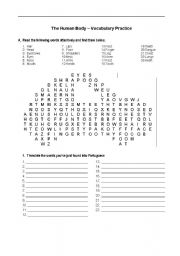 Human Body wordsearch