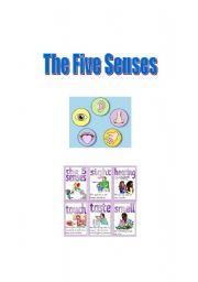 English Worksheet: Five Senses