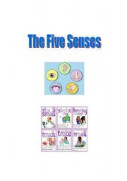 Five Senses