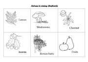 English worksheet: Autumn is coming