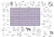 English Worksheet: Finding an animal