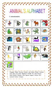 English Worksheet: Animals alphabet