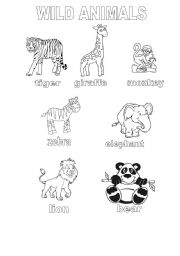 English Worksheet: WILD ANIMALS