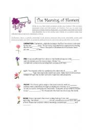 English Worksheet: The meaning of flowers