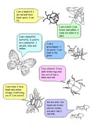 English Worksheet: Insects