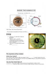 English worksheet: Eye ( Inside of the human eye)