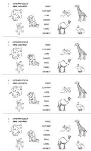 English Worksheet: zoo animals