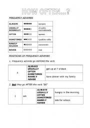 English worksheet: Frequency adverbs and expressions of frequency