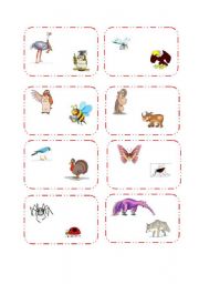 Animals Comparision Cards